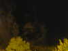 20240929204814-G0014852.JPG