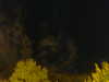 20240929204829-G0014853.JPG