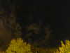 20240929204844-G0014854.JPG