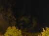 20240929204900-G0014855.JPG