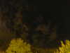 20240929205001-G0014859.JPG