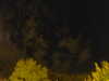 20240929205016-G0014860.JPG