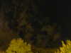 20240929205047-G0014862.JPG
