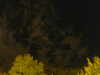 20240929205117-G0014864.JPG