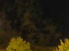 20240929205132-G0014865.JPG