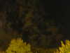 20240929205148-G0014866.JPG