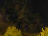 20240929205218-G0014868.JPG