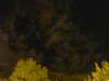 20240929205304-G0014871.JPG