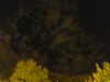 20240929205335-G0014873.JPG