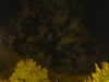 20240929205420-G0014876.JPG