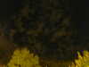 20240929205506-G0014879.JPG
