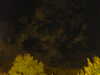 20240929205638-G0014885.JPG