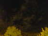 20240929205739-G0014889.JPG
