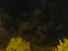 20240929205824-G0014892.JPG