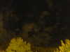 20240929205925-G0014896.JPG