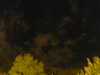 20240929205941-G0014897.JPG