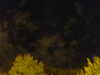 20240929210026-G0014900.JPG