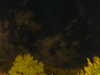 20240929210042-G0014901.JPG
