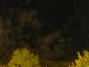 20240929210128-G0014904.JPG