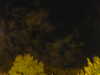 20240929210158-G0014906.JPG