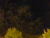 20240929210259-G0014910.JPG