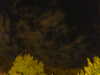 20240929210330-G0014912.JPG