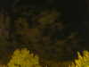 20240929210345-G0014913.JPG