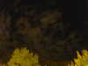 20240929210400-G0014914.JPG