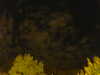 20240929210415-G0014915.JPG