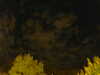20240929210446-G0014917.JPG