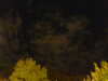 20240929210532-G0014920.JPG