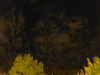 20240929210617-G0014923.JPG