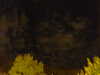 20240929210648-G0014925.JPG