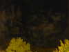 20240929210718-G0014927.JPG