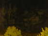20240929210749-G0014929.JPG