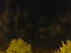 20240929210835-G0014932.JPG
