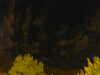 20240929210905-G0014934.JPG