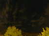 20240929210951-G0014937.JPG
