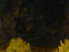 20240929211138-G0014944.JPG