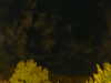 20240929211153-G0014945.JPG