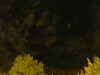 20240929211239-G0014948.JPG