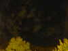 20240929211310-G0014950.JPG