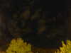 20240929211340-G0014952.JPG