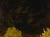 20240929211356-G0014953.JPG