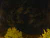 20240929211411-G0014954.JPG
