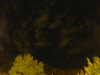 20240929211426-G0014955.JPG