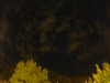 20240929211441-G0014956.JPG