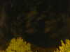 20240929211457-G0014957.JPG