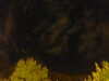 20240929211613-G0014962.JPG