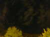 20240929211643-G0014964.JPG